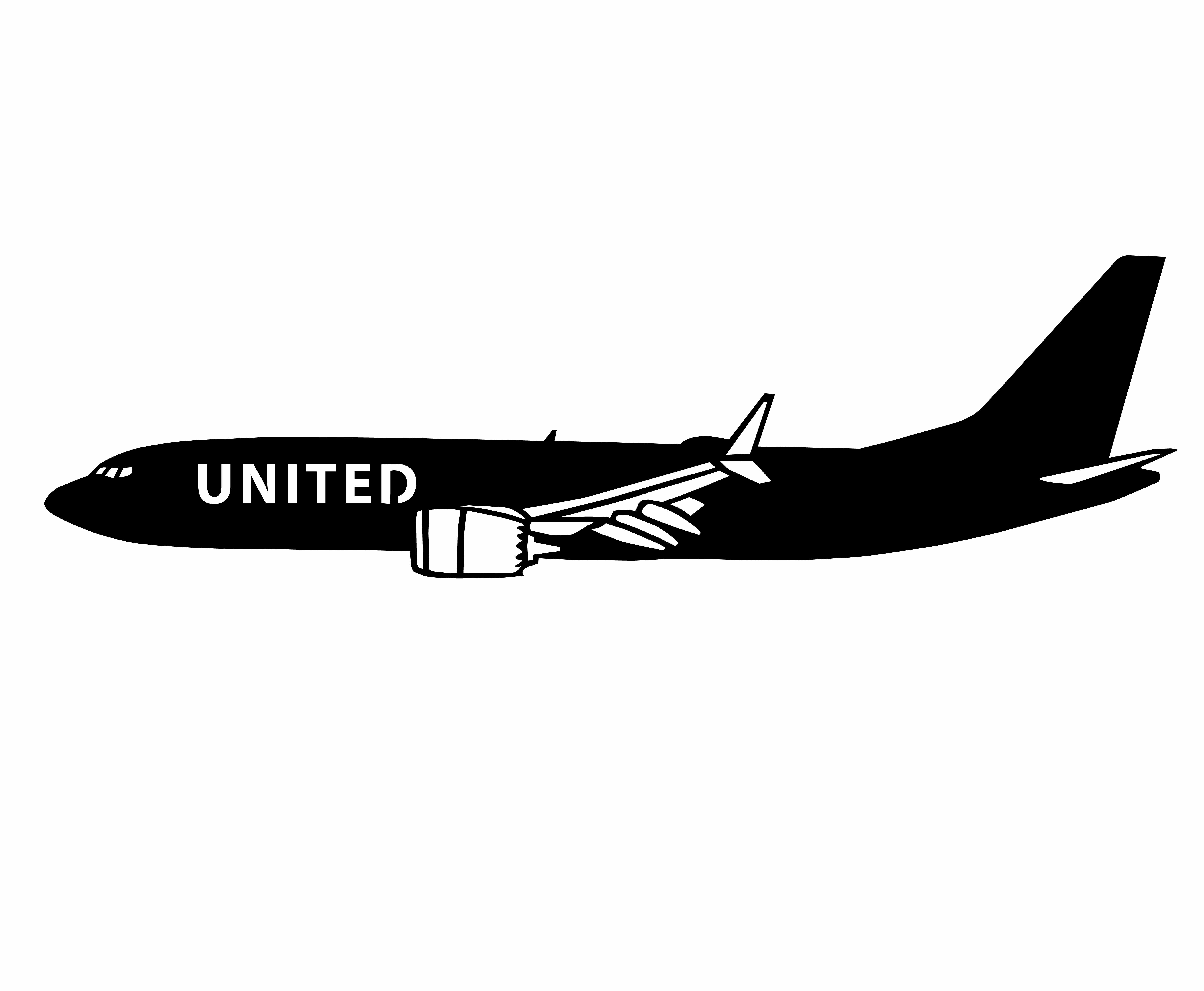 United 737 weathervane